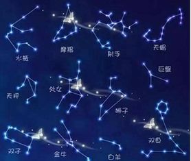 12.月份什么星座